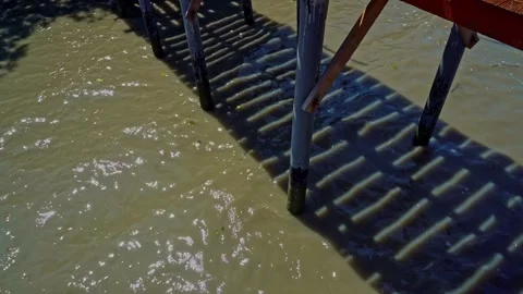 Mangrove Forest Ecosystem In Java Indonesia Lush Tropical Wetlands Nature S.. Stock Footage 345869675