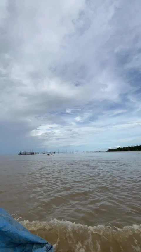 Mangrove forest Stock Footage 276676405