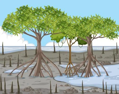 Mangrove forest landscape scene Stock Illustration