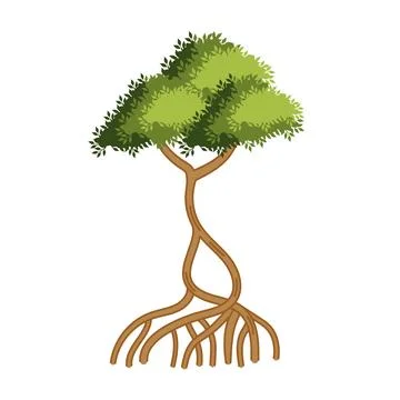 Mangrove forest landscape scene Stock Illustration