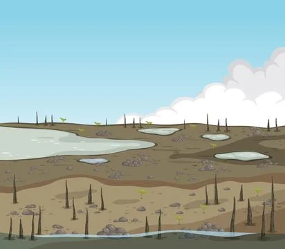 Mangrove forest nature scene Stock Illustration