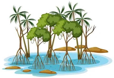 Mangrove Forest with Palm Trees Stock Illustration