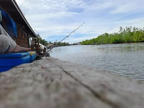 Mangrove forest Foto stock