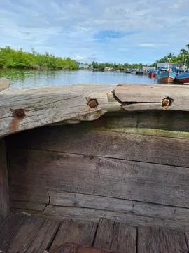 Mangrove forest Stock Photos