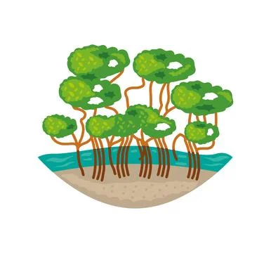 Mangrove forest in sea Stock Illustration