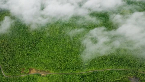 Mangrove forest with winding river channels and tropical hills. Siargao Stock Footage 326713640