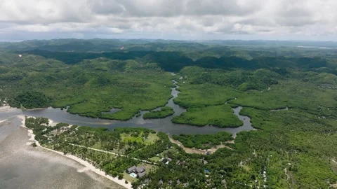 Mangrove forest with winding river near coastline. Siargao, Philippines. Stock Footage 321661888