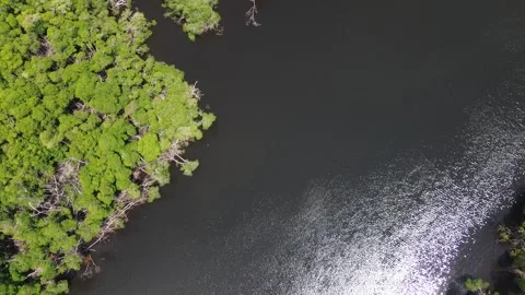 Mangrove Islands Surrounded by Open Water, Florida Aerial Vídeos de archivo 340523038