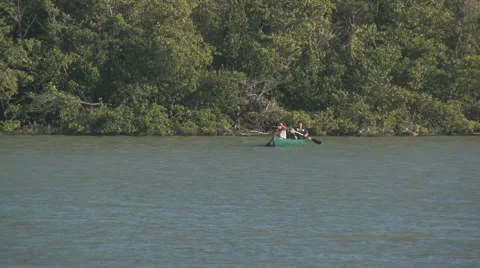 Mangrove kayaking Stock Footage 5595676