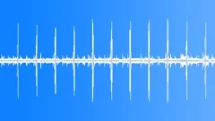 Mangrove mid-day Toucan chants HD 24Bits/96KHz Sound Effect