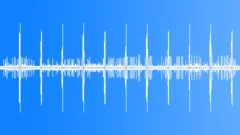 Mangrove night frogs chorus HD 24Bits/96KHzSound Effect