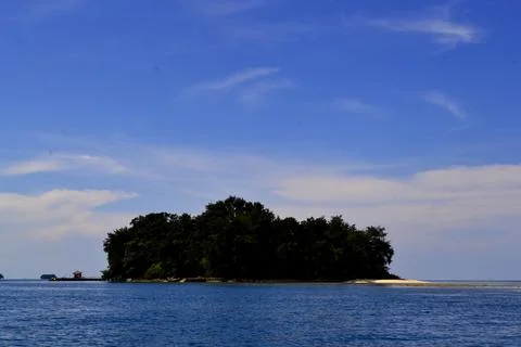 Mangrove Stock Photos