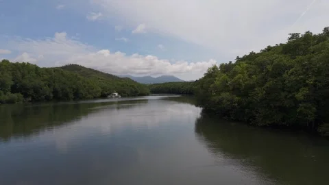Mangrove River Bend and Cloud Reflections in Bacungan Palawan Stock-Footage 347182430