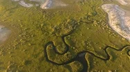 Mangrove River Estuary Meandering From Sky Stock Footage