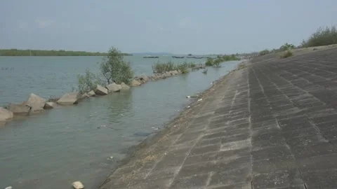 Mangrove river at high tide Stockbeeldmateriaal 333082709