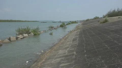 Mangrove river at high tide Vídeo Stock 333082729