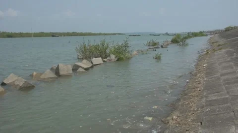 Mangrove river at high tide Vídeo Stock 333082731