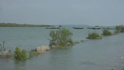 Mangrove river at high tide Stockbeeldmateriaal 333082733