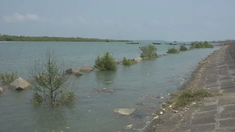 Mangrove river at high tide Stockbeeldmateriaal 333082742