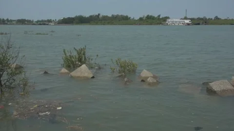 Mangrove river at high tide Stock Footage 333082828