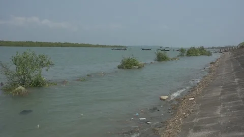 Mangrove river at high tide Vídeo Stock 333082836