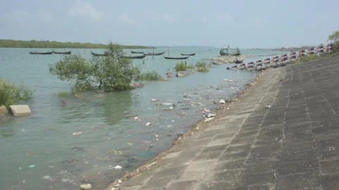 Mangrove river at high tide Vídeo Stock 333082881