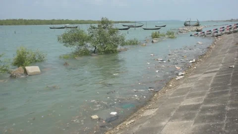Mangrove river at high tide Stockbeeldmateriaal 333082911