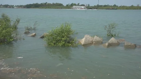 Mangrove river at high tide Vídeo Stock 333082916
