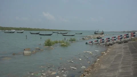 Mangrove river at high tide Vídeo Stock 333082931