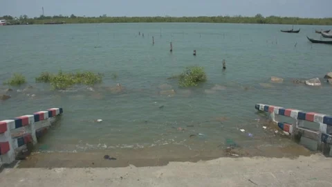 Mangrove river at high tide 스톡 동영상 333082960