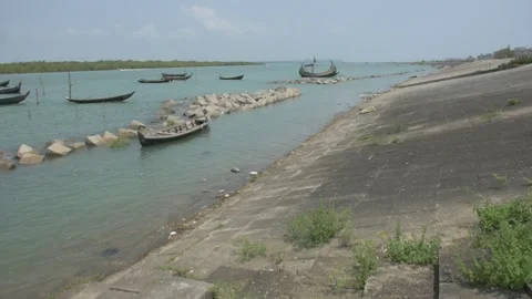 Mangrove river at high tide Vídeos de archivo 333082973