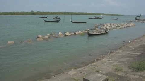Mangrove river at high tide 스톡 동영상 333083002