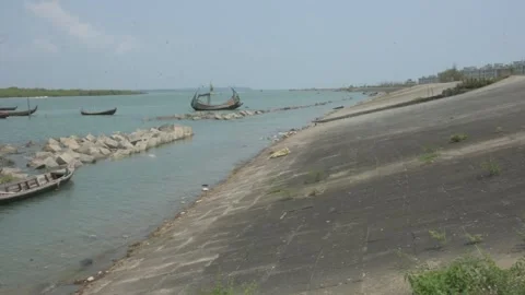 Mangrove river at high tide Vídeos de archivo 333083067