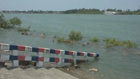 Mangrove river at high tide 스톡 동영상 333083080