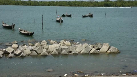Mangrove river at high tide Vídeos de archivo 333083109
