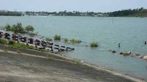 Mangrove river at high tide Vídeos de archivo 333083110