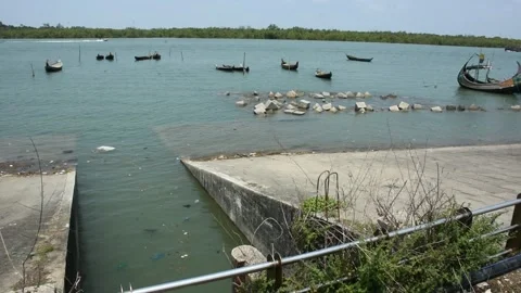 Mangrove river at high tide Vídeos de archivo 333083134