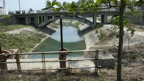 Mangrove river at high tide 스톡 동영상 333083142