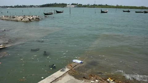 Mangrove river at high tide 스톡 동영상 333083176