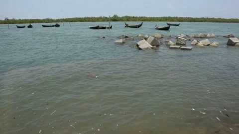 Mangrove river at high tide Stock Footage 333083193