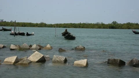 Mangrove river at high tide 스톡 동영상 333083218