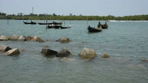 Mangrove river at high tide Stockbeeldmateriaal 333083249