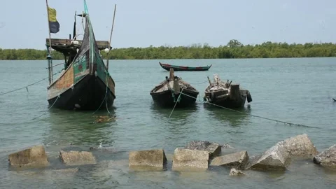 Mangrove river at high tide Stock Footage 333083250