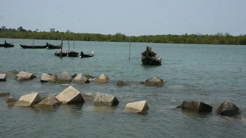 Mangrove river at high tide 스톡 동영상 333083251