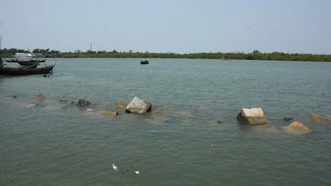 Mangrove river at high tide 스톡 동영상 333083285