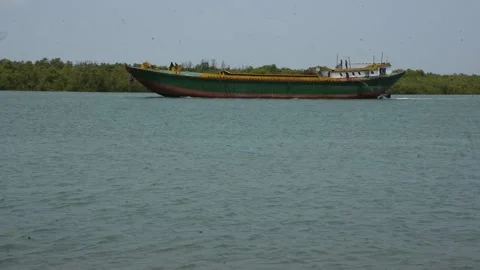 Mangrove river at high tide 스톡 동영상 333083323