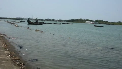 Mangrove river at high tide 스톡 동영상 333083342