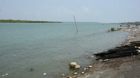 Mangrove river at high tide Vídeos de archivo 333083383