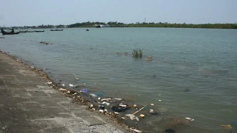 Mangrove river at high tide Stock Footage 333083384