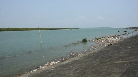 Mangrove river at high tide Vídeos de archivo 333083402